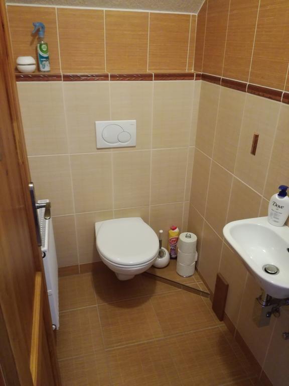 Apartman U Kovaru Kasperske Hory Buitenkant foto
